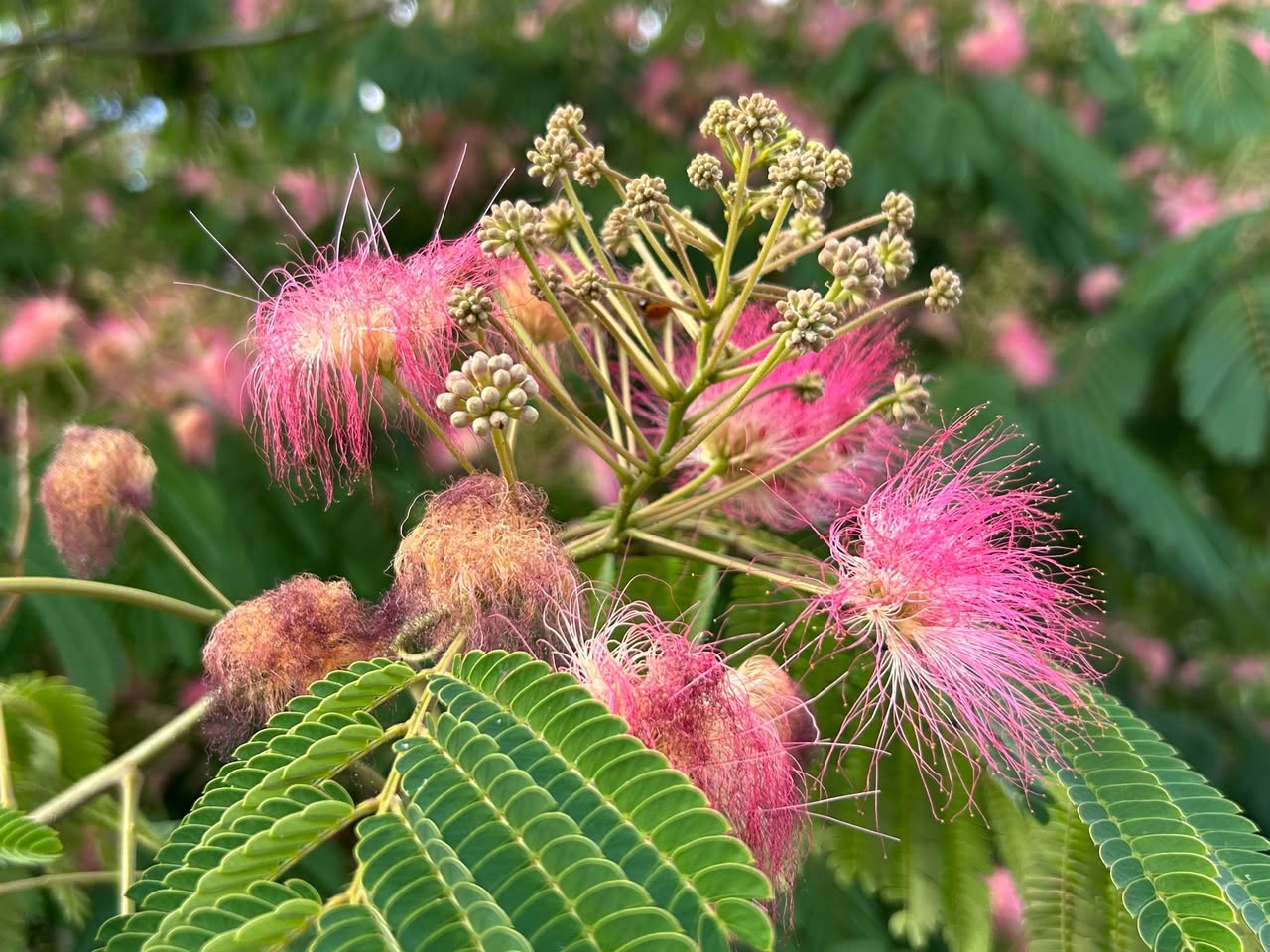 Ден трети без кола. Или… ден триста тридесет и трети (по усещане )