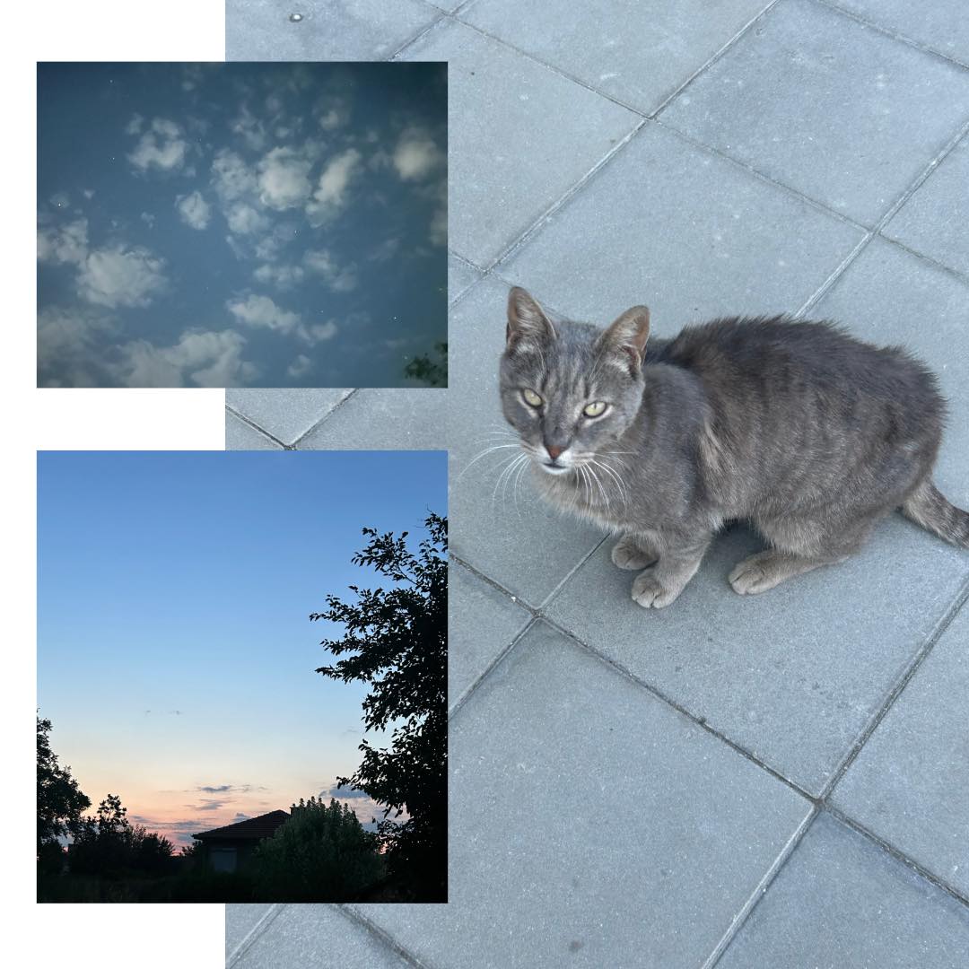 От няколко дни светът мълчи.