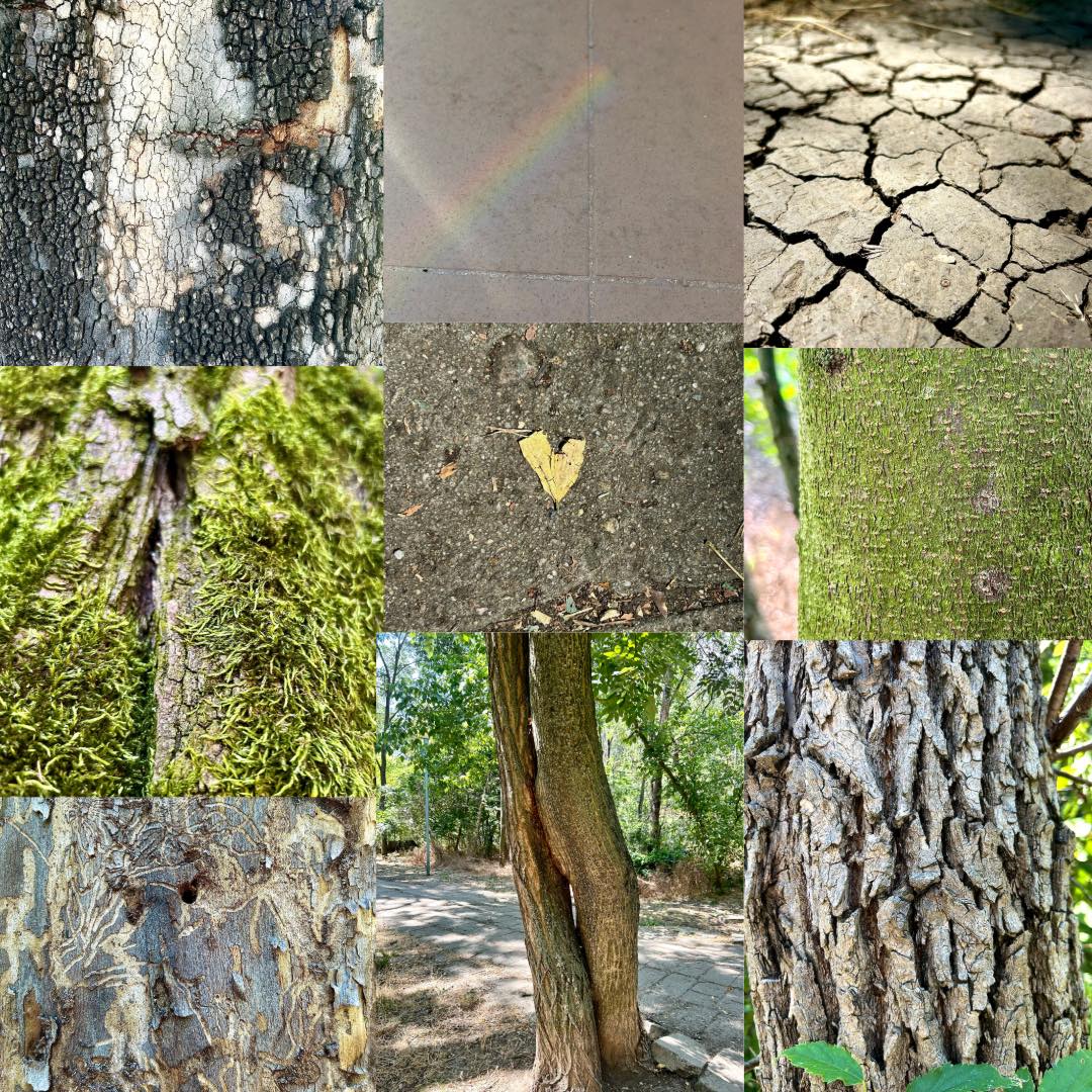 Днес денят ми беше… твърд.