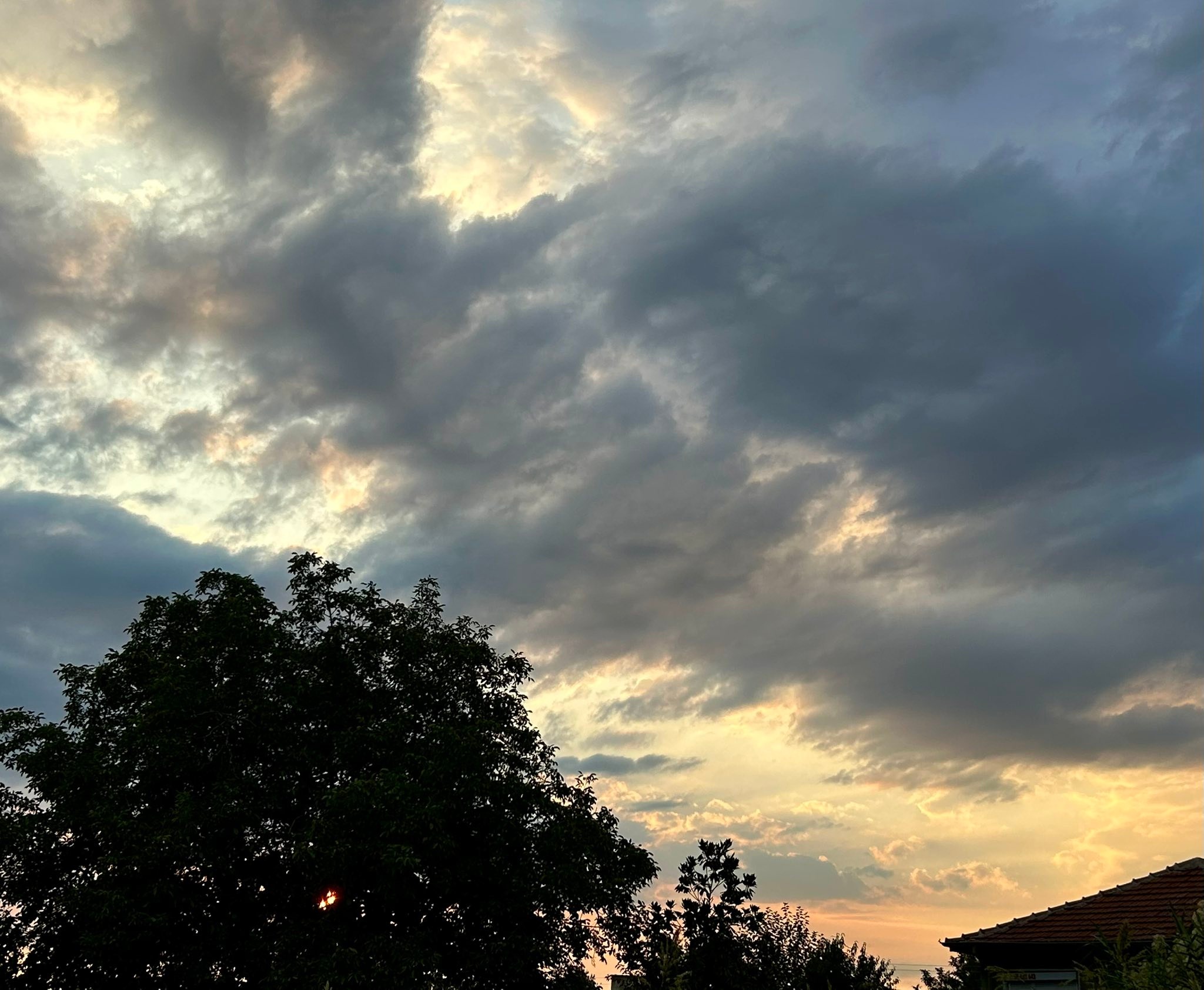 Light becomes shadow.