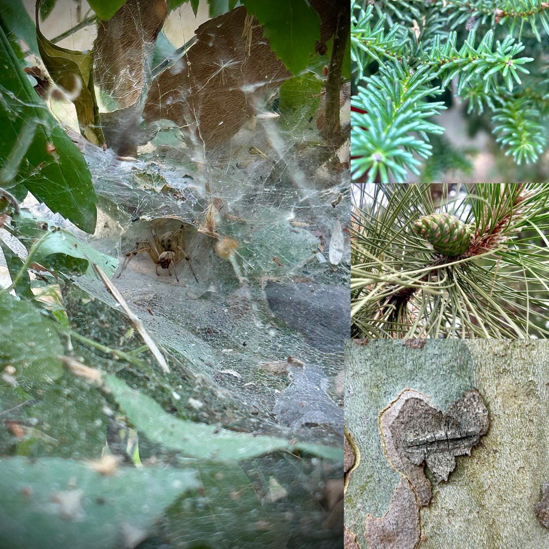 Ето ме днес…