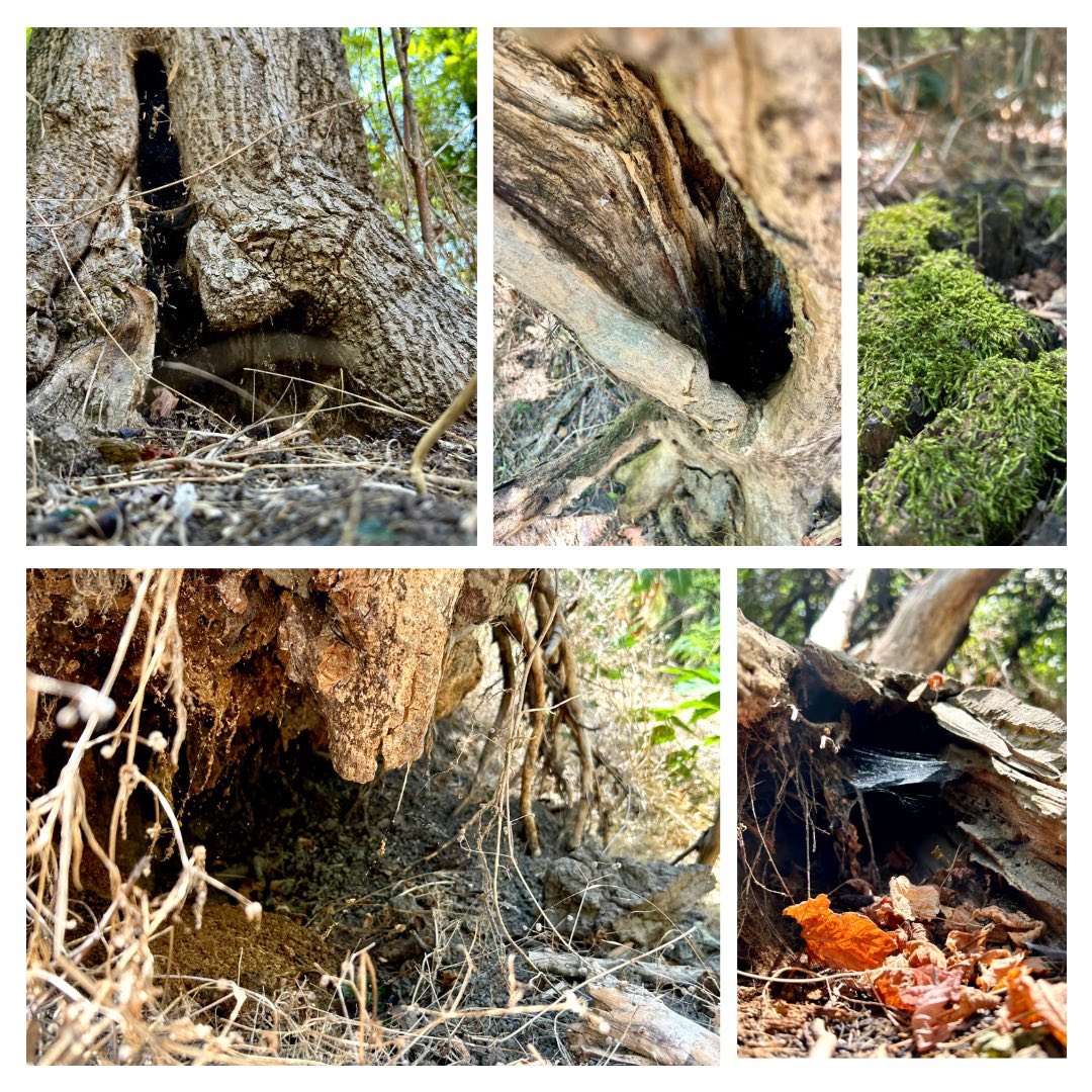 Днешният ден започна като обикновен ден.