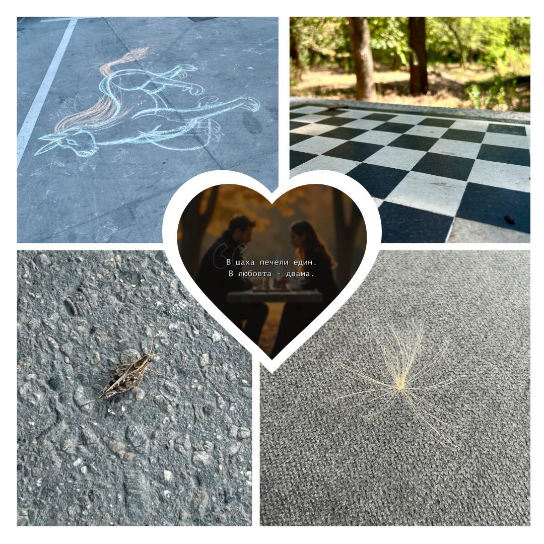 Сутринта на дивана видях едно оставено “писмо”.