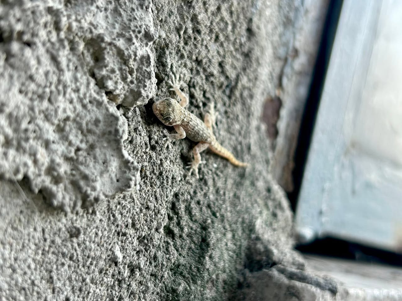 Ето как започна новият ден… и седмица.