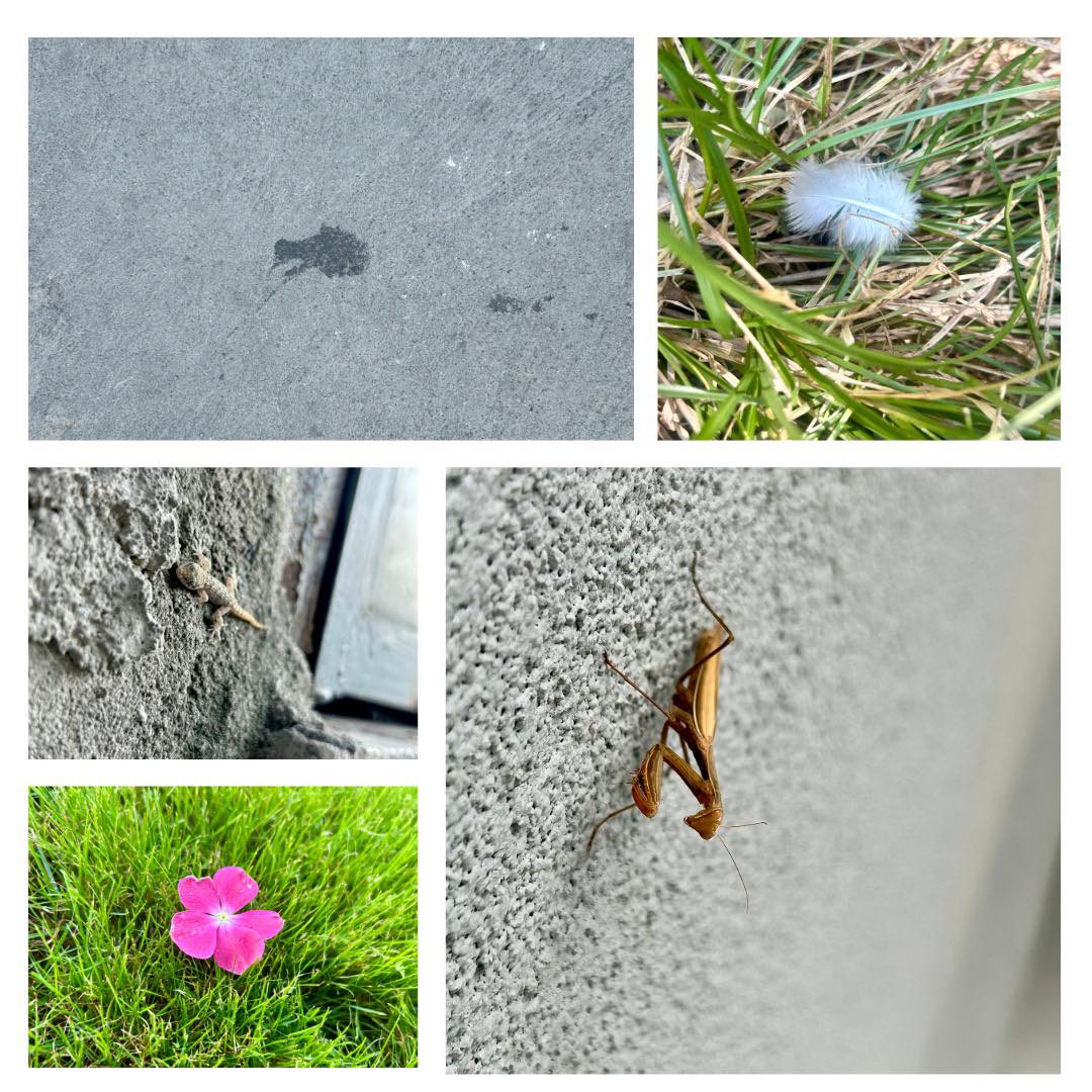 Харесва ми как Вселена е решила да ми праща загадки под знаци и сякаш е седнала с пуканки да гледа как ще ги разтълкувам…