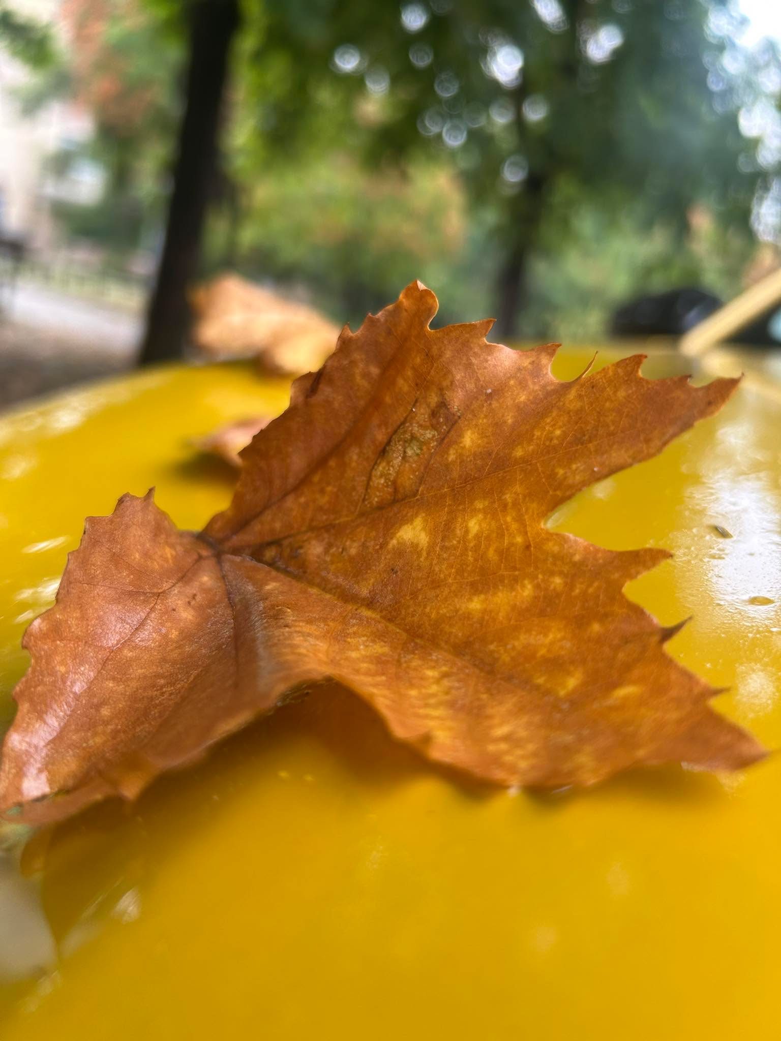 Facebook Post – 2025-08-19 11:33