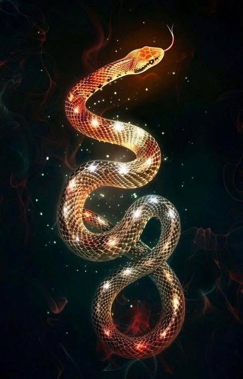 Знаете ли какво е да нямаш собствен дом…