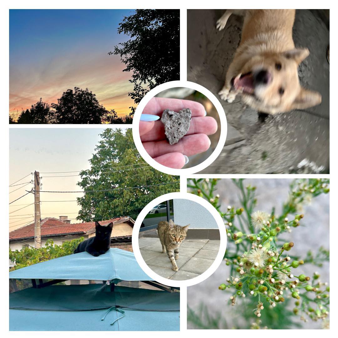 Няма много символи напоследък.