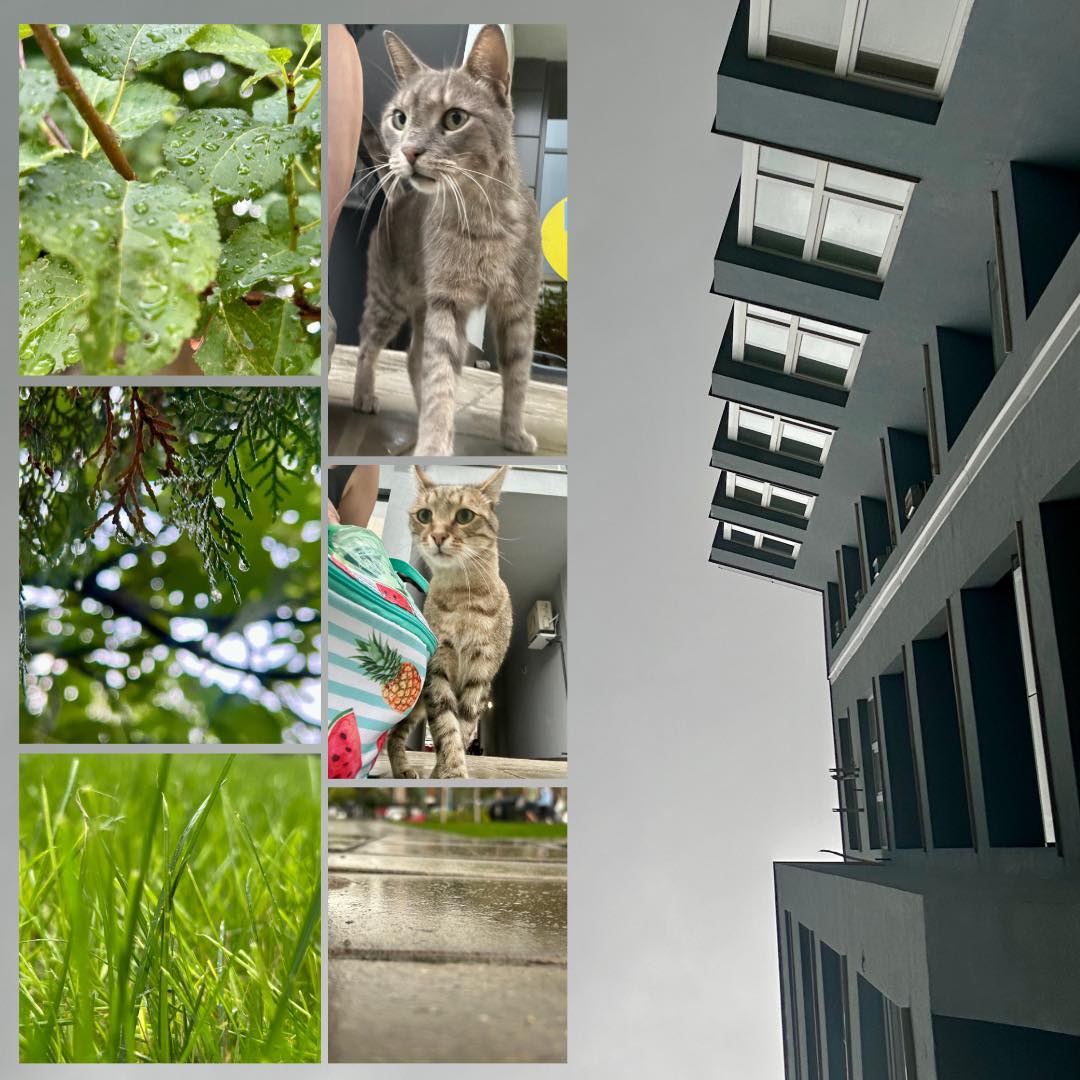 Перфектна сутрин.