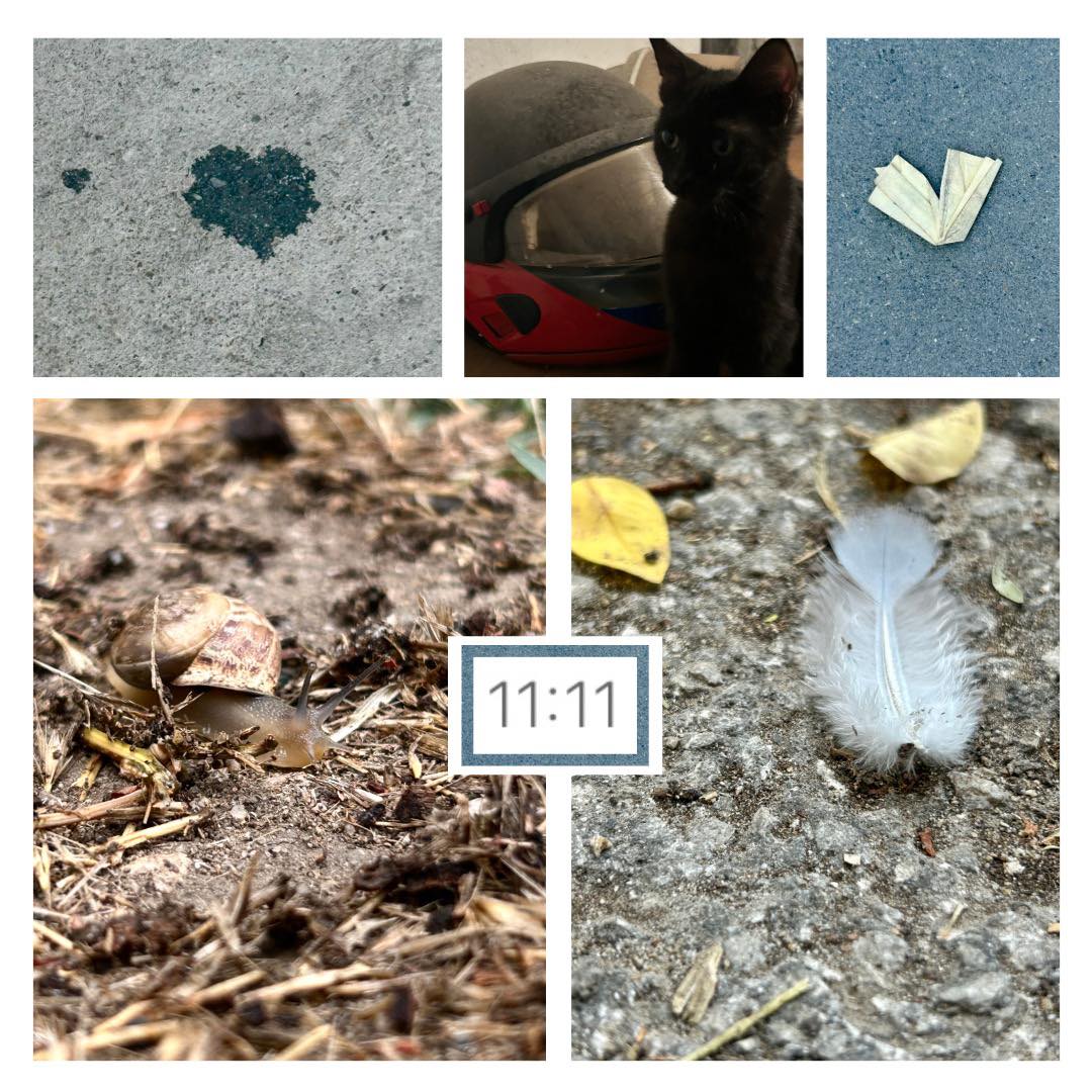 Езикът на Вселената не е в думи, а в знаци.