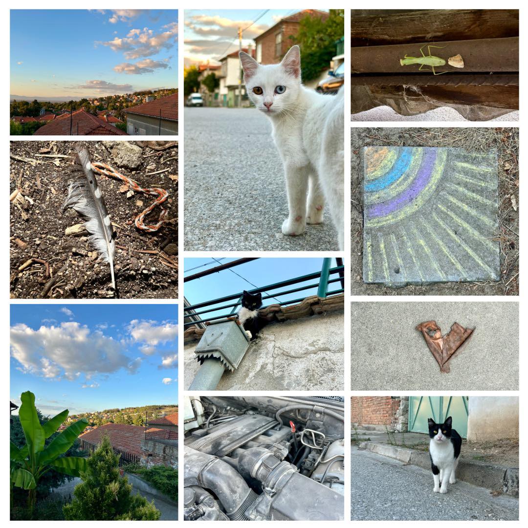 Дните ми бяха тежки, но сякаш потока, който беше спрял се върна леко в някакъв негов си ритъм.