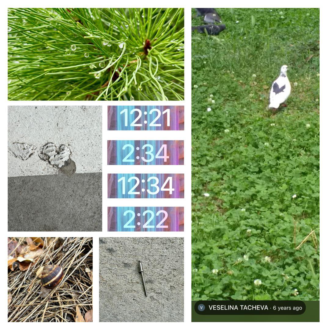 Тези дни живота ми не е най-усмихнатият. И все пак Вселената не ме пропуска, за да ми подхвърли цял списък от „символи“.