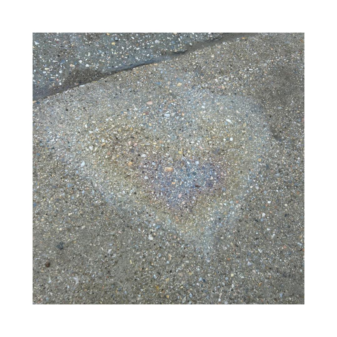 Една любов между дъжда и цветовете…