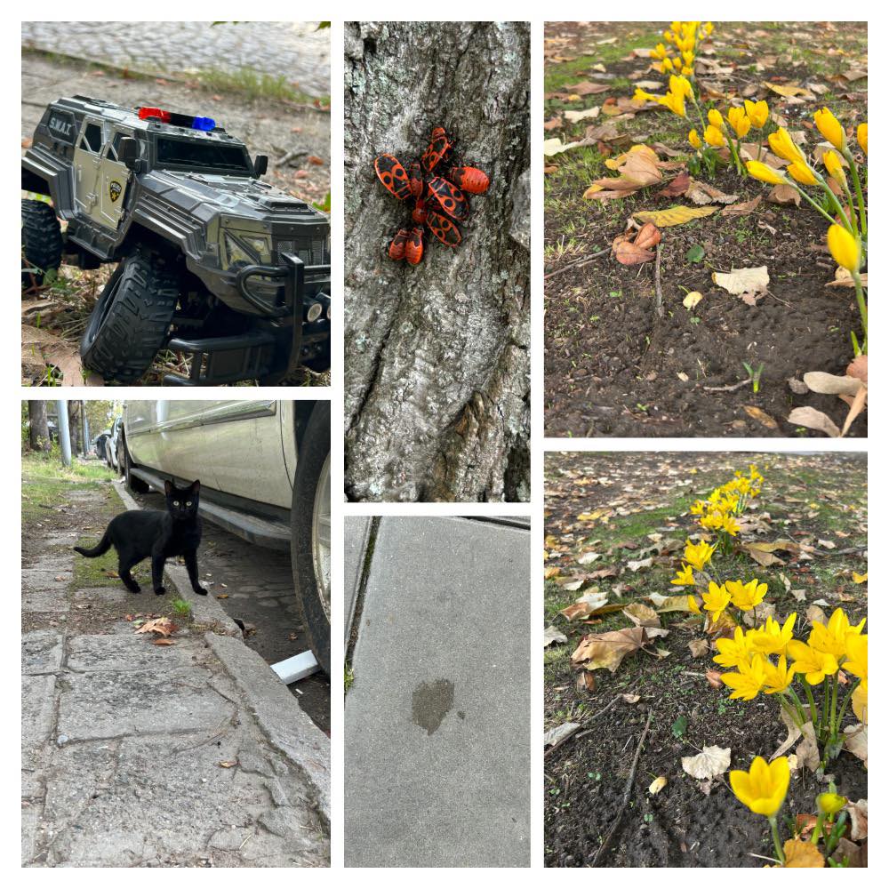 Няколко дена пропуснах, но символите не изчезват просто така. Просто няма кой да ги качи .