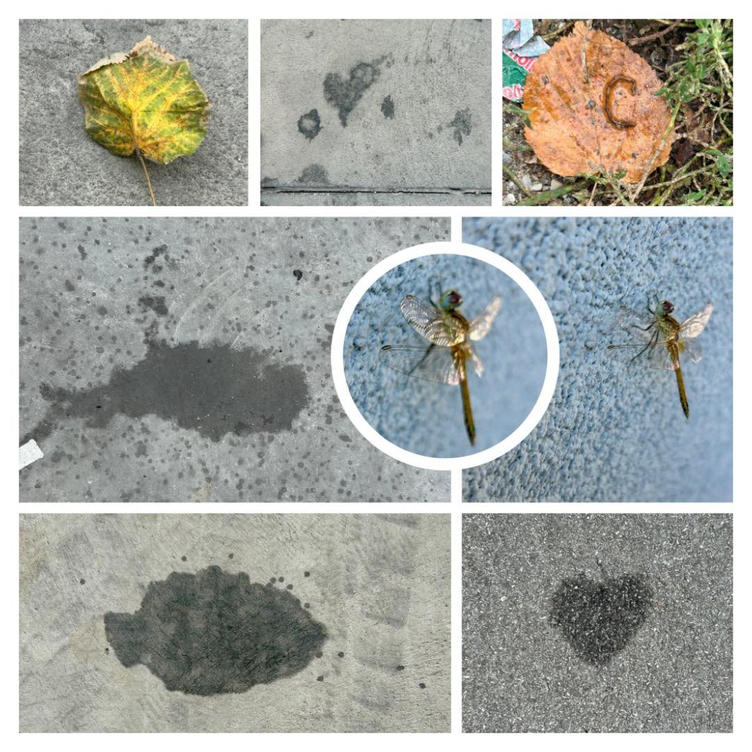 Природата, вселената и всичко…