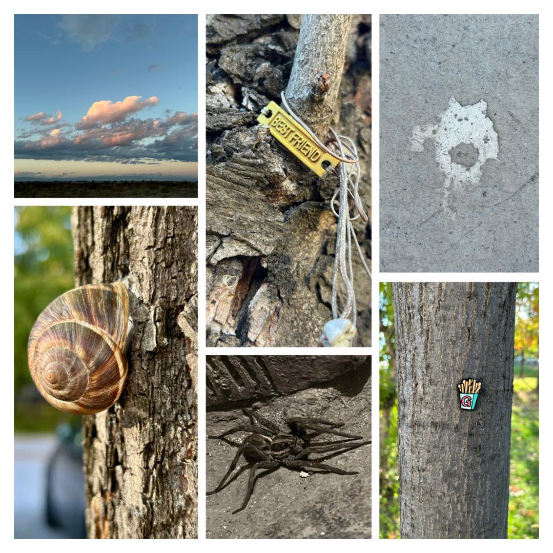 …полеви дневник на Вселената с чувство за хумор (леко ироничен, малко философски, изцяло… мен)