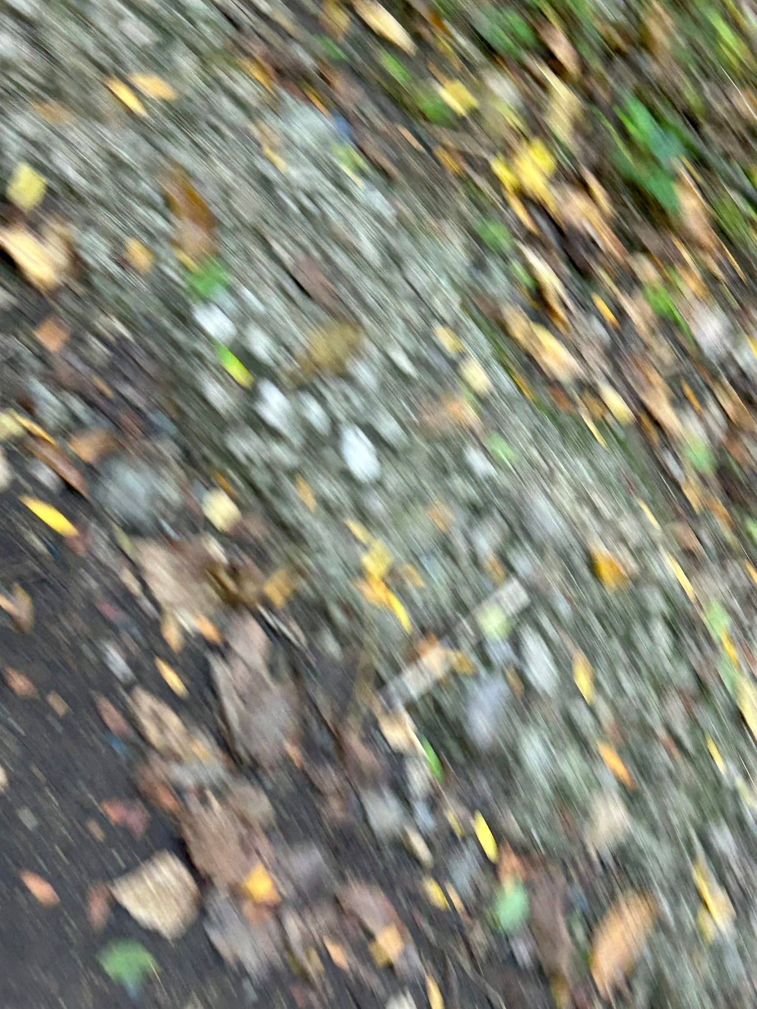 …така бях и аз днес.