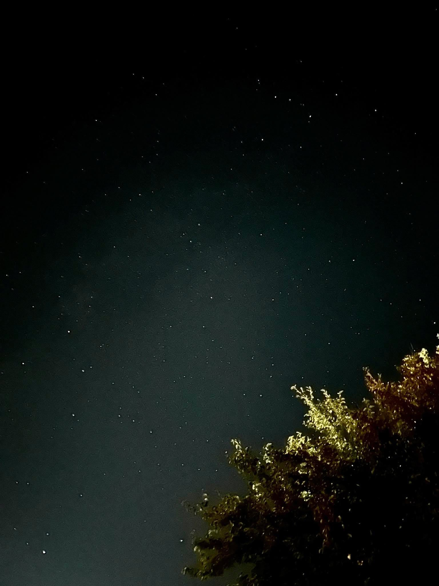 🪐 (не се подобрява нощната ми фотография… но пък не пречи да продължавам да опитвам )