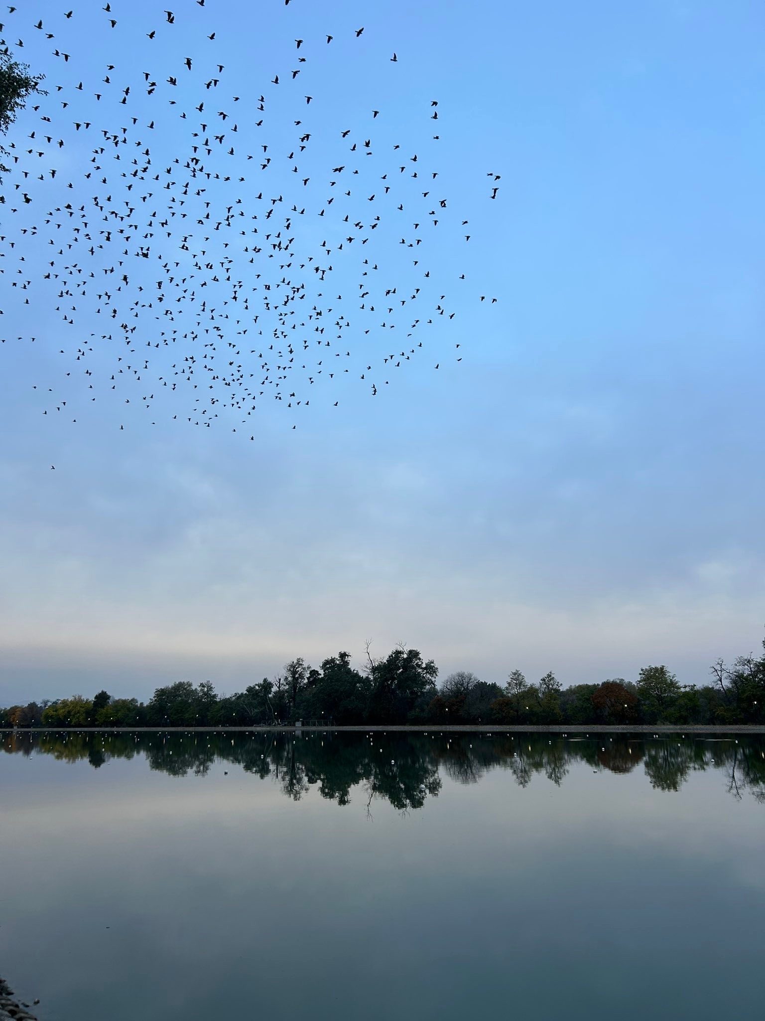 Not a morning person, but I’m the morning’s person. ️ The early hours like me more than I like them.