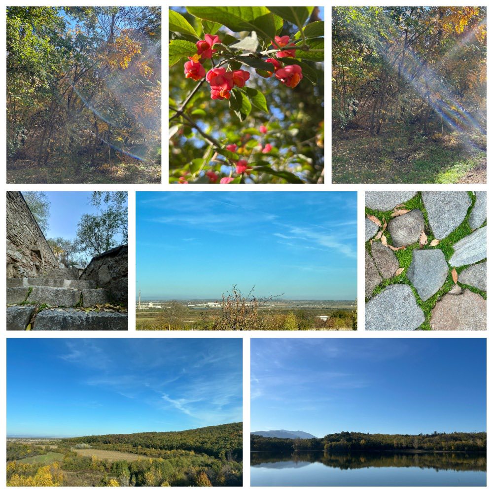 Ловец на гледки…