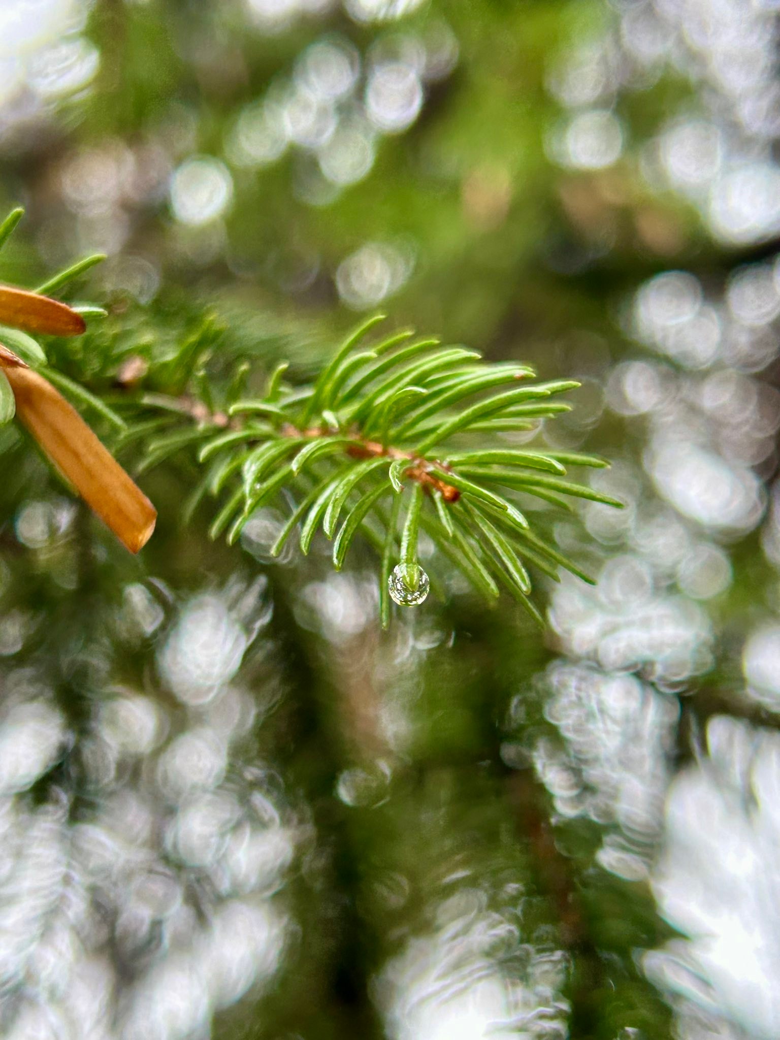 Любов между сезоните