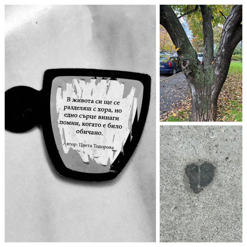 Вселената ми говори отдавна…